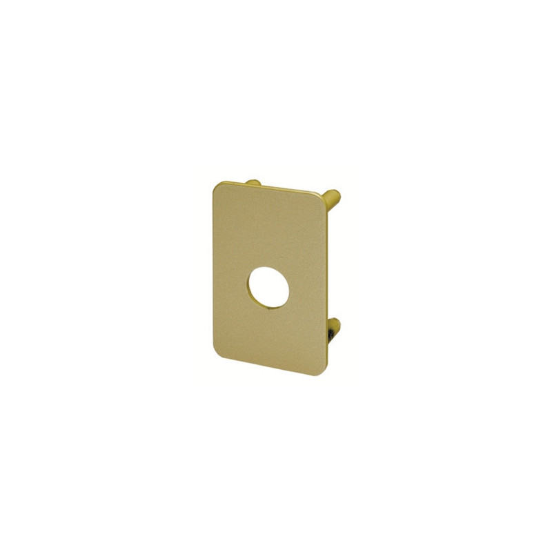 Contre plaque verrou - VACHETTE ASSA ABLOY