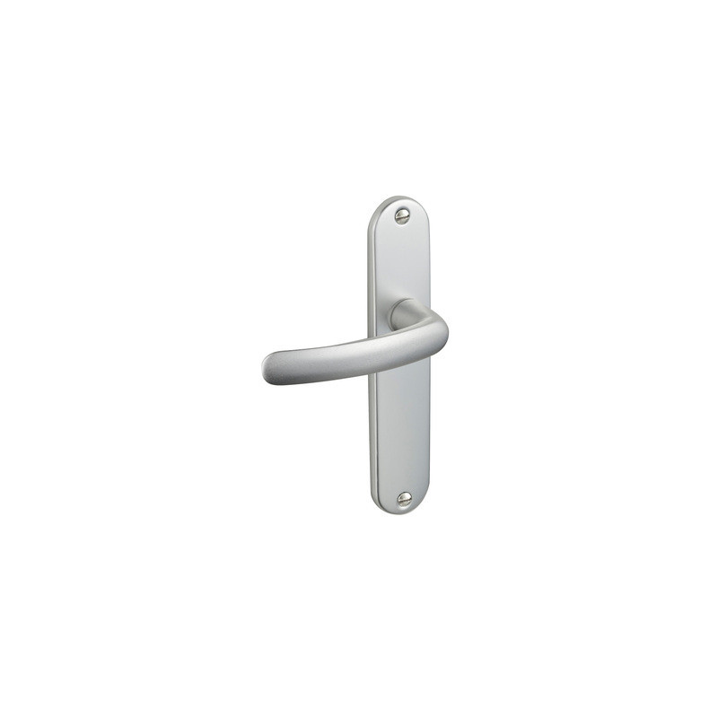 Ensemble sur plaque borgne EA165 BUDGET - ASSA ABLOY BEZAULT