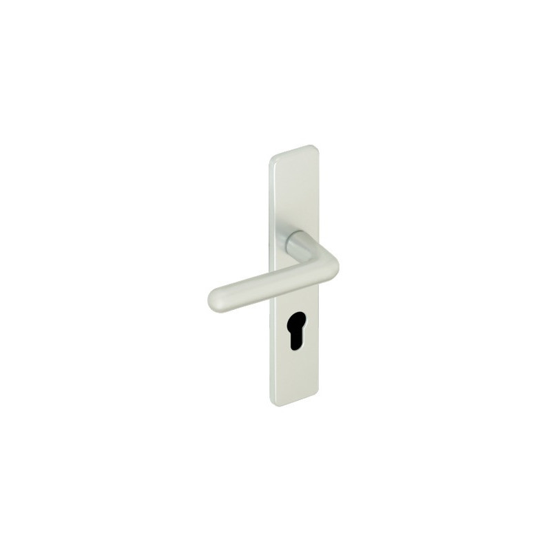 Ensemble sur plaque EA195 GOLF - ASSA ABLOY BEZAULT