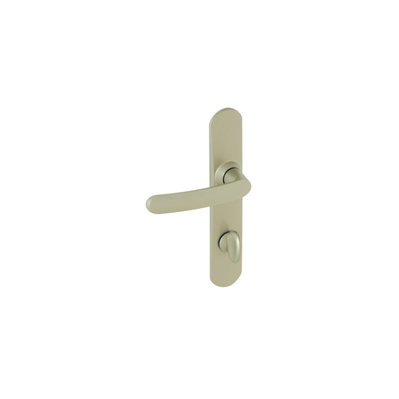 Ensemble sur plaque EA195 SLIM - ASSA ABLOY BEZAULT