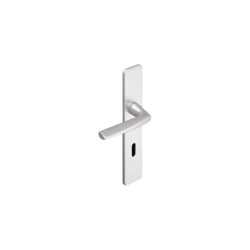 Ensemble sur plaque EA195 RIVIERA - ASSA ABLOY BEZAULT