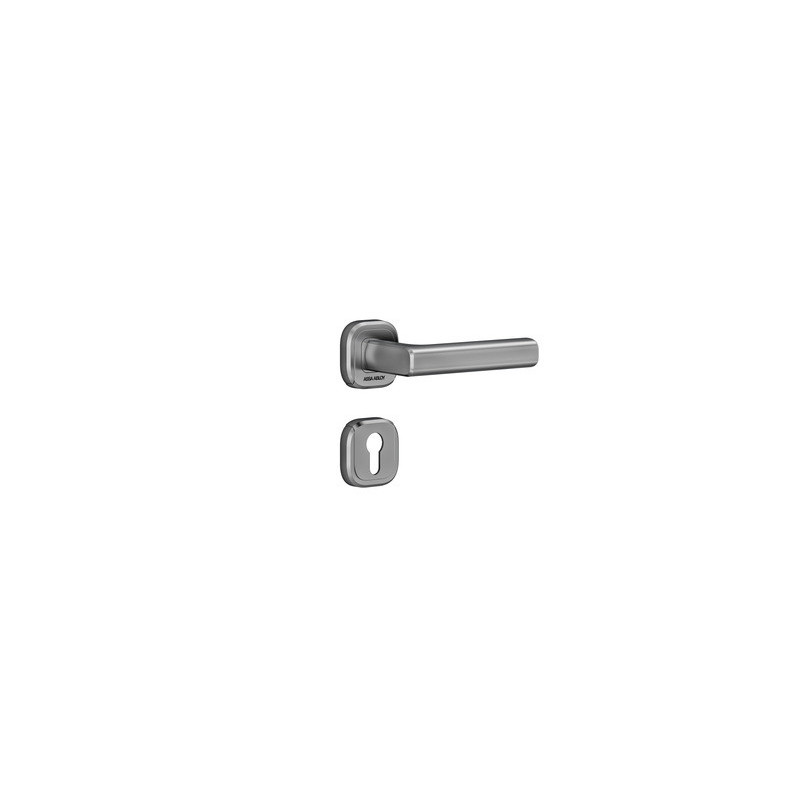 Ensemble sur rosace VERCY - ASSA ABLOY BEZAULT 