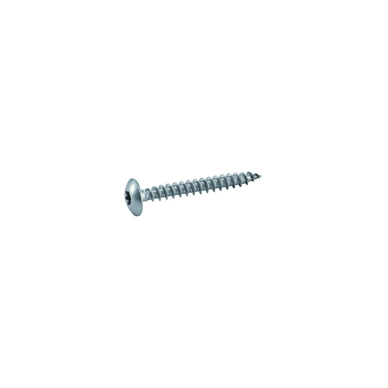 Vis penture tête large TORX inox A2 - ACTON