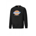 Sweat-shirt LONGTON - DICKIES