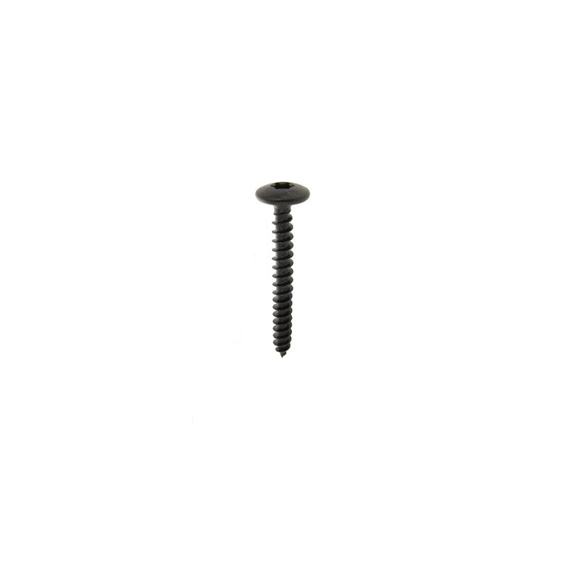 Vis penture TR TORX tête large zingué noir - VISWOOD