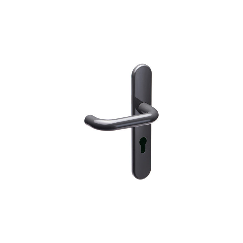 Ensemble sur plaque EA195 ARCOLOR 232HR - BEZAULT ASSA ABLOY